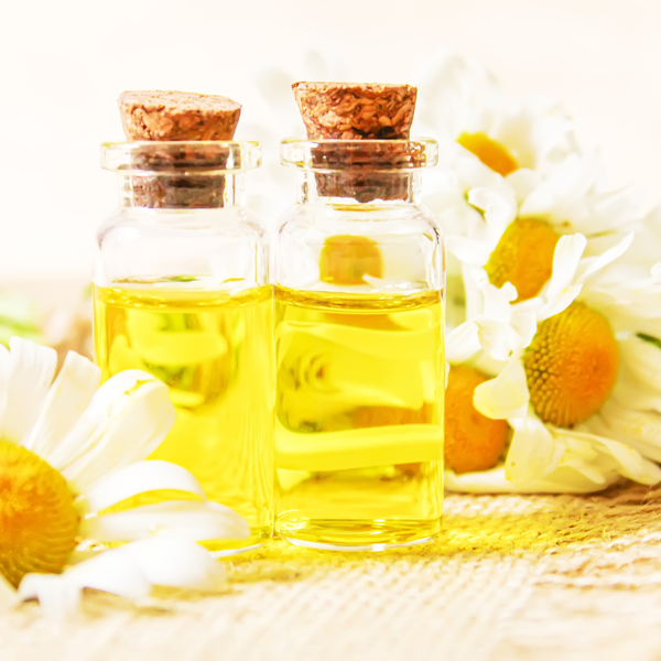 chietxuatthiennhien_cuclama
