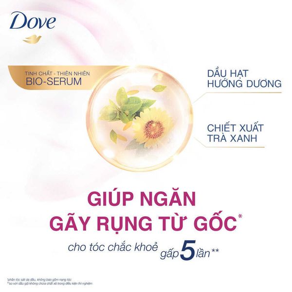 dovengangayrungtoc