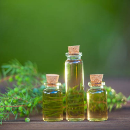 Thành phẩm từ thiên nhiên Tea tree oil