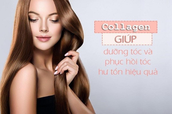 Collagen có tác dụng giúp phục hồi tóc hư tổn và dưỡng tóc hiệu quả