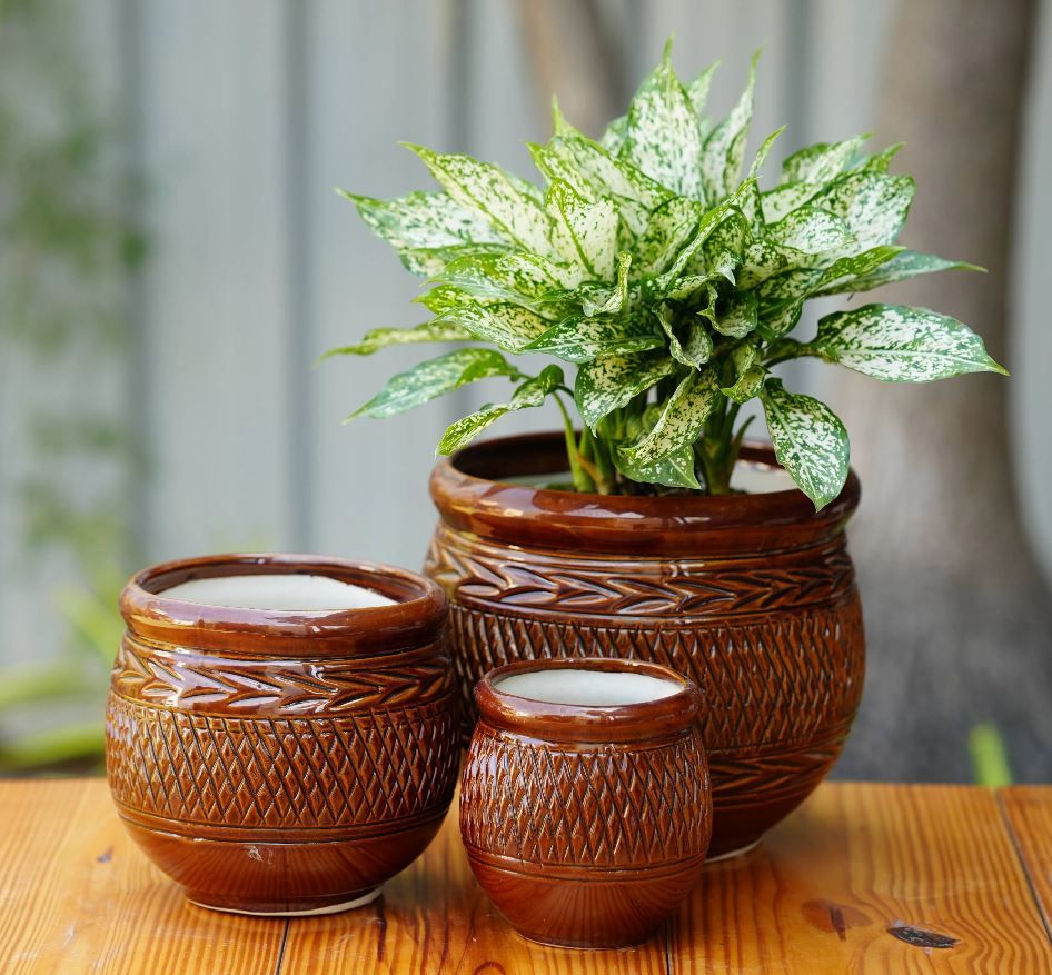 All about Ceramic