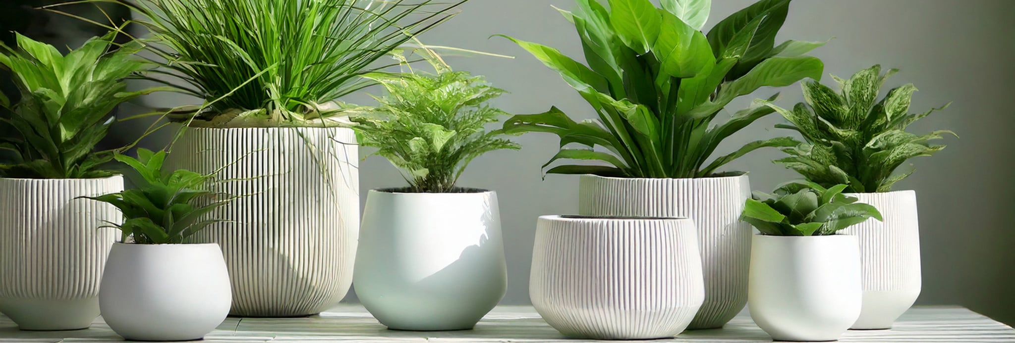 FIBERGLASS PLANTER