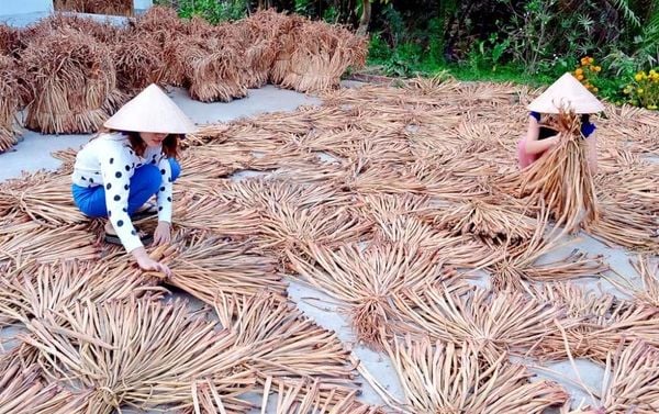 Water Hyacinth is a fully natural material