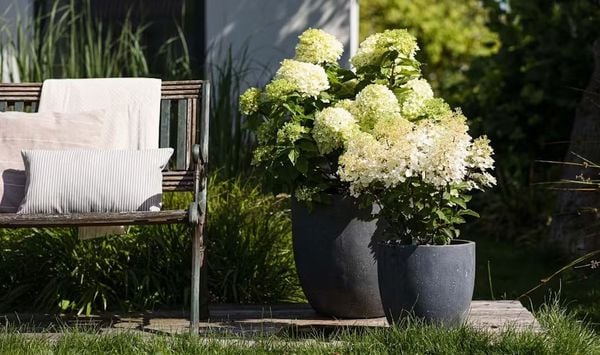 Care and maintance fiberstone