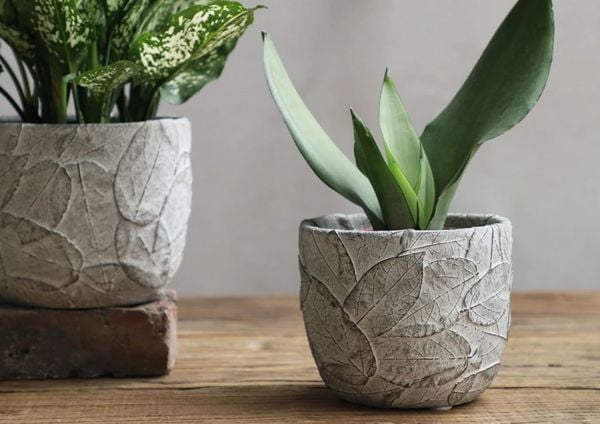 Decorate Planter pot