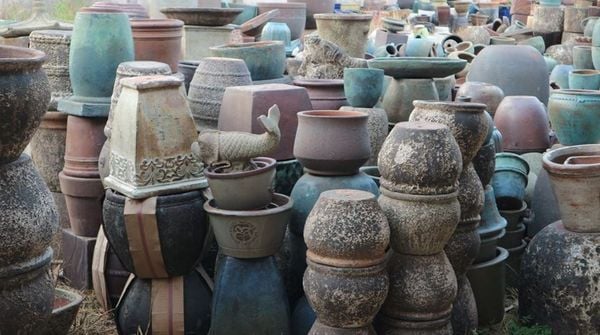 Shapes & Sizes of the Atlantic Planter