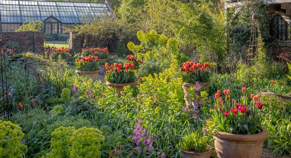 ceramic plant pots Safe for Plants and Environmentally Friendly