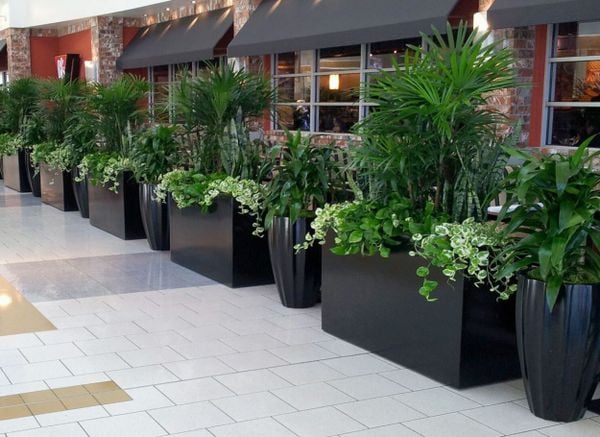 Round vs. Square Pots