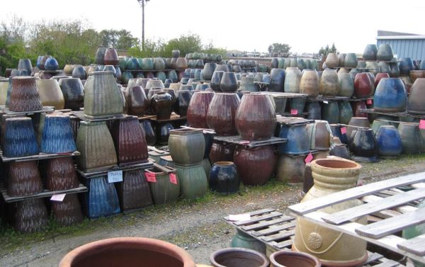 Weather Resistant ceramic plant pots