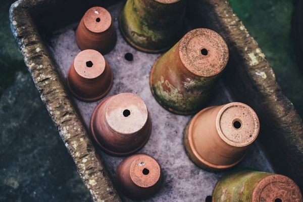 Salt Precipitation on terracotta pots