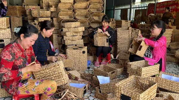 The Craft of Water Hyacinth Weaving Shaped by Human Hands