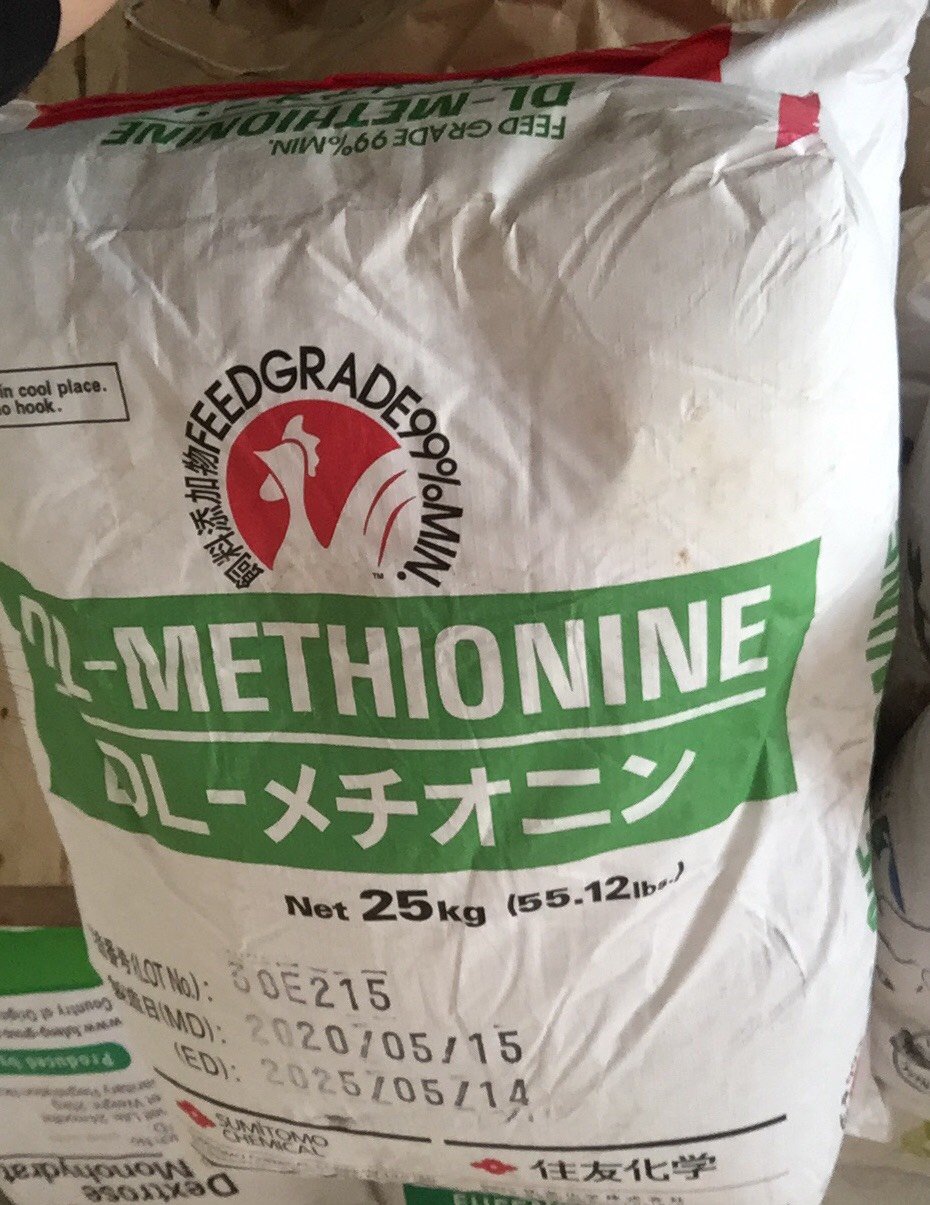 Hiệu quả và tác động của Methionine trong khẩu phần gà đẻ