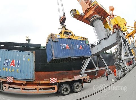 Xuất nhập khẩu năm 2021:  Chủ động hơn để giảm thiểu nguy cơ