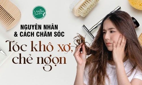 Nguyên Nhân Và Cách Chăm Sóc Tóc Khô Xơ Chẻ Ngọn