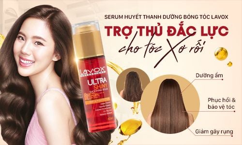 Trợ Thủ Đắc Lực Dành Cho Tóc Xơ Rối