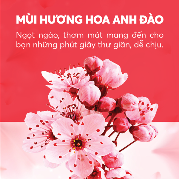 dầu xả giữ màu hương sakura