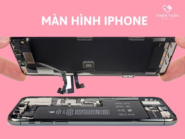 Màn hình iPhone 12 Pro Max