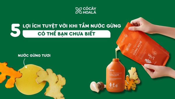 5 lợi ích tuyệt vời đối với làn da và sức khỏe khi tắm bằng nước gừng