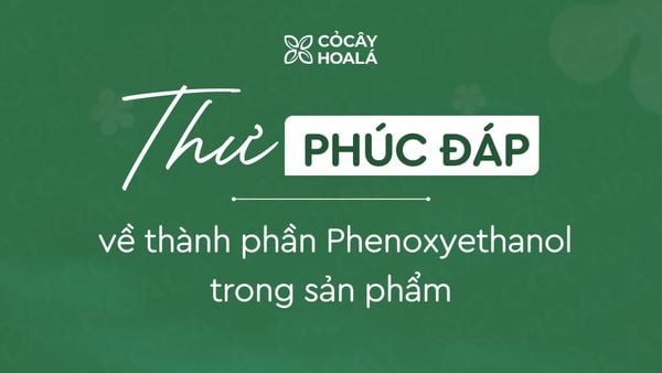 Cỏ Cây Hoa Lá giải đáp về thành phần Phenoxyethanol trong sản phẩm