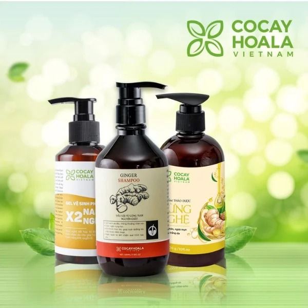 Top sản phẩm bán chạy không thể bỏ lỡ của Cỏ Cây hoa Lá