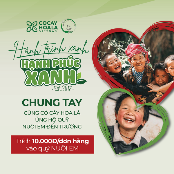 CỎ CÂY HOA LÁ đồng hành cùng Những Bước Chân Xanh, đóng góp 10.000 đồng/đơn hàng vào quỹ “Nuôi Em” thắp sáng con chữ cho trẻ em nghèo Hà Giang