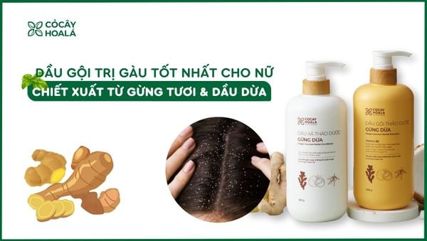 Dầu gội trị gàu tốt nhất cho nữ có thành phần từ thiên nhiên