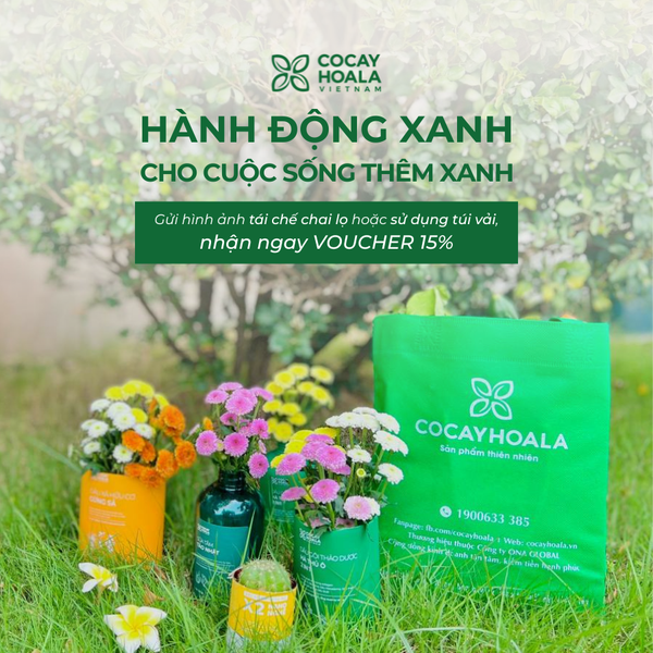 THÀNH QUẢ CỦA CỎ CÂY HOA LÁ SAU 30 NGÀY PHÁT ĐỘNG CHƯƠNG TRÌNH ‘HÀNH ĐỘNG XANH CHO CUỘC SỐNG THÊM XANH