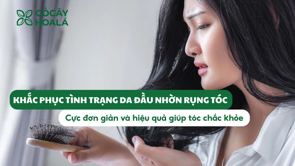 Cách khắc phục tình trạng da đầu nhờn rụng tóc hiệu quả tại nhà