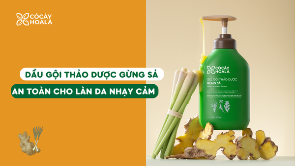 Dầu gội thảo dược Gừng Sả- Lựa chọn an toàn cho làn da nhạy cảm mẹ bầu