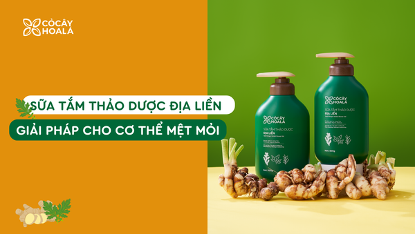 Sữa tắm địa liền – Giải pháp thiên nhiên cho làn da và cơ thể mệt mỏi