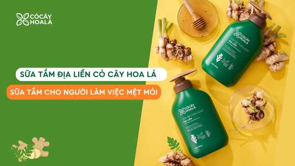 Sữa tắm cho người làm việc mệt mỏi giúp thư giãn và tái tạo năng lượng