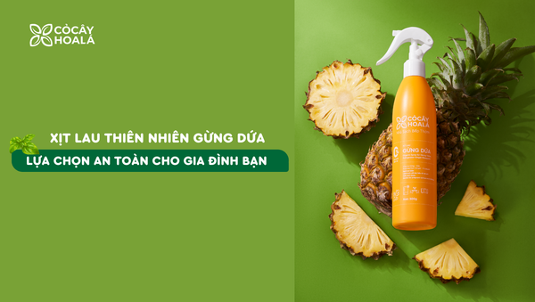 Xịt Lau Thiên Nhiên Bàn Ăn, Tủ Lạnh Gừng Dứa: Lựa Chọn An Toàn Cho Gia Đình Bạn