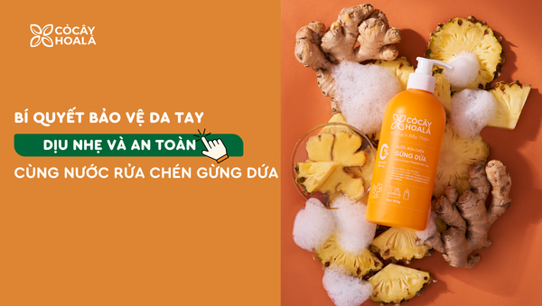 Bí quyết bảo vệ da tay dịp tết với nước rửa chén gừng dứa