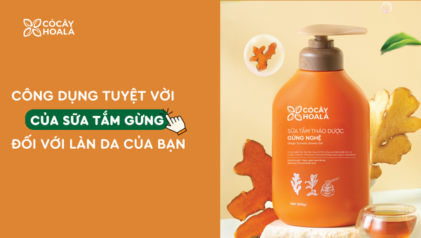 Bất ngờ với những công dụng tuyệt vời của sữa tắm gừng đối với làn da