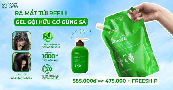 COCAYHOALA RA MẮT TÚI REFILL GEL GỘI GỪNG SẢ HỮU CƠ - TIẾT KIỆM HƠN - THÂN THIỆN VỚI MÔI TRƯỜNG HƠN