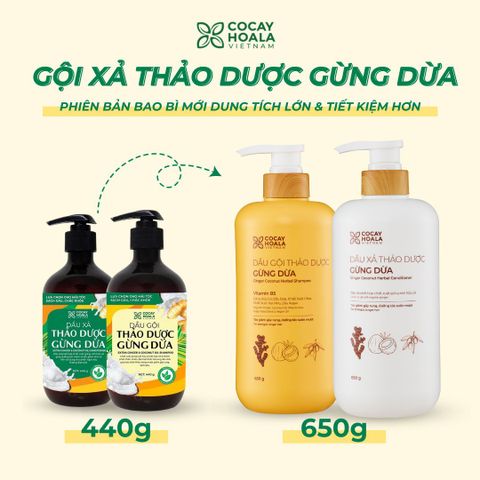 DẦU GỘI XẢ GỪNG DỪA RA MẮT PHIÊN BẢN BIGSIZE 650GR - DUNG TÍCH LỚN, TIẾT KIỆM HƠN