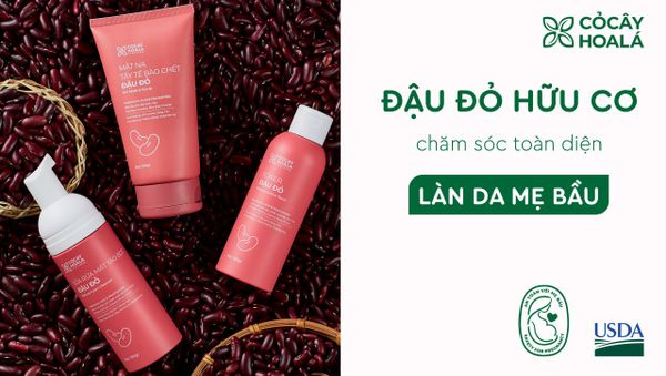 Vì sao mẹ bầu nên chăm sóc da từ Đậu đỏ?