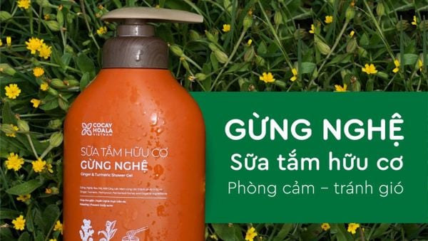 Sữa tắm Gừng phòng cảm giữ ấm, bảo vệ mẹ bầu và sau sinh