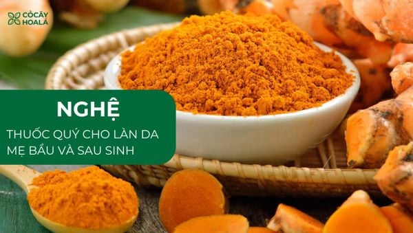 Nghệ - Bí Quyết Giúp Da Sáng Mịn Cho Mẹ Bầu và Sau Sinh