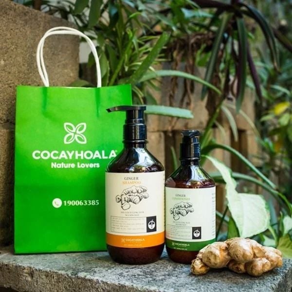 Cỏ Cây Hoa Lá - Sản phẩm thiên nhiên từ dược liệu Việt Nam: Hướng đi mới an toàn cho sức khỏe, thân thiện với môi trường