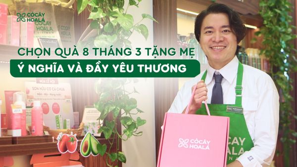 Chọn quà 8 tháng 3 tặng mẹ – Đơn giản, ý nghĩa và đầy yêu thương