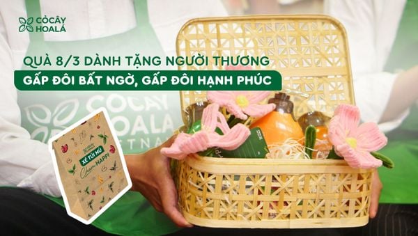 Set quà 8 tháng 3 độc đáo từ Cỏ Cây Hoa Lá: Gấp đôi bất ngờ với túi mù cực hấp dẫn!
