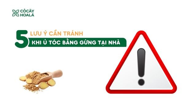 5 Lưu Ý Cần Tránh Khi Ủ Tóc Bằng Gừng Tại Nhà