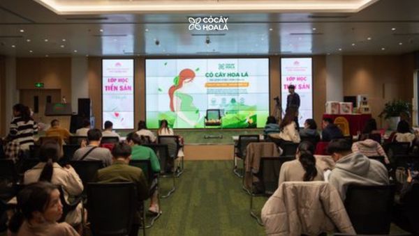 Cỏ Cây Hoa Lá - đối tác đầu tiên hợp tác cùng các Bệnh viện phụ sản chăm sóc da và tóc cho mẹ bầu