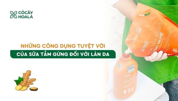 Bất ngờ với những công dụng tuyệt vời của sữa tắm gừng đối với làn da