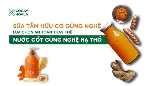 Sữa tắm hữu cơ Gừng Nghệ – Lựa chọn an toàn thay thế nước cốt gừng nghệ hạ thổ