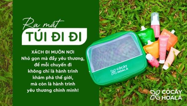 Ra mắt 