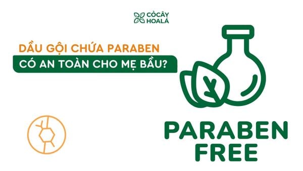 Dầu gội chứa Paraben có an toàn cho mẹ bầu? Giải pháp thay thế dịu nhẹ từ thiên nhiên