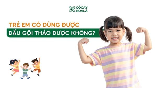 Trẻ em có dùng được dầu gội thảo dược không?