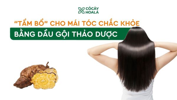 Bạn đang gội đầu hay đang… ‘tẩm bổ’ cho mái tóc?